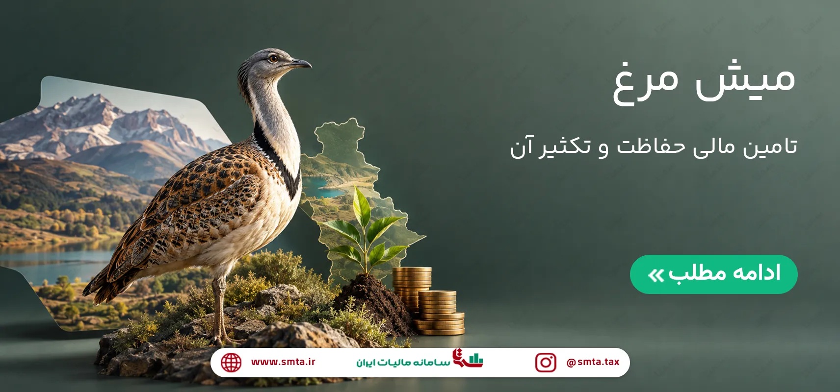 تصویر وبلاگ